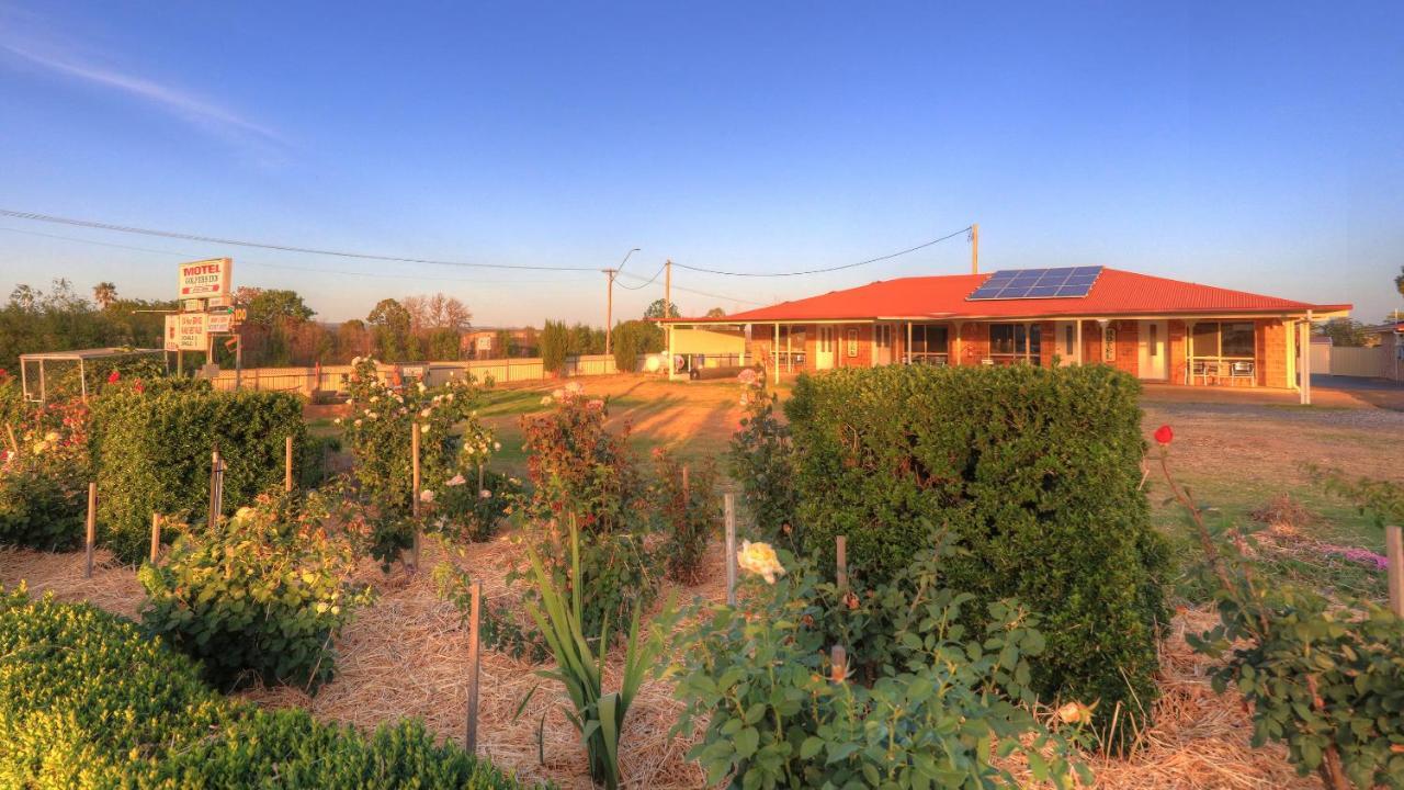Golfers Inn Tenterfield Zewnętrze zdjęcie