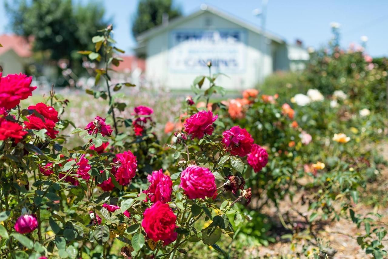 Golfers Inn Tenterfield Zewnętrze zdjęcie